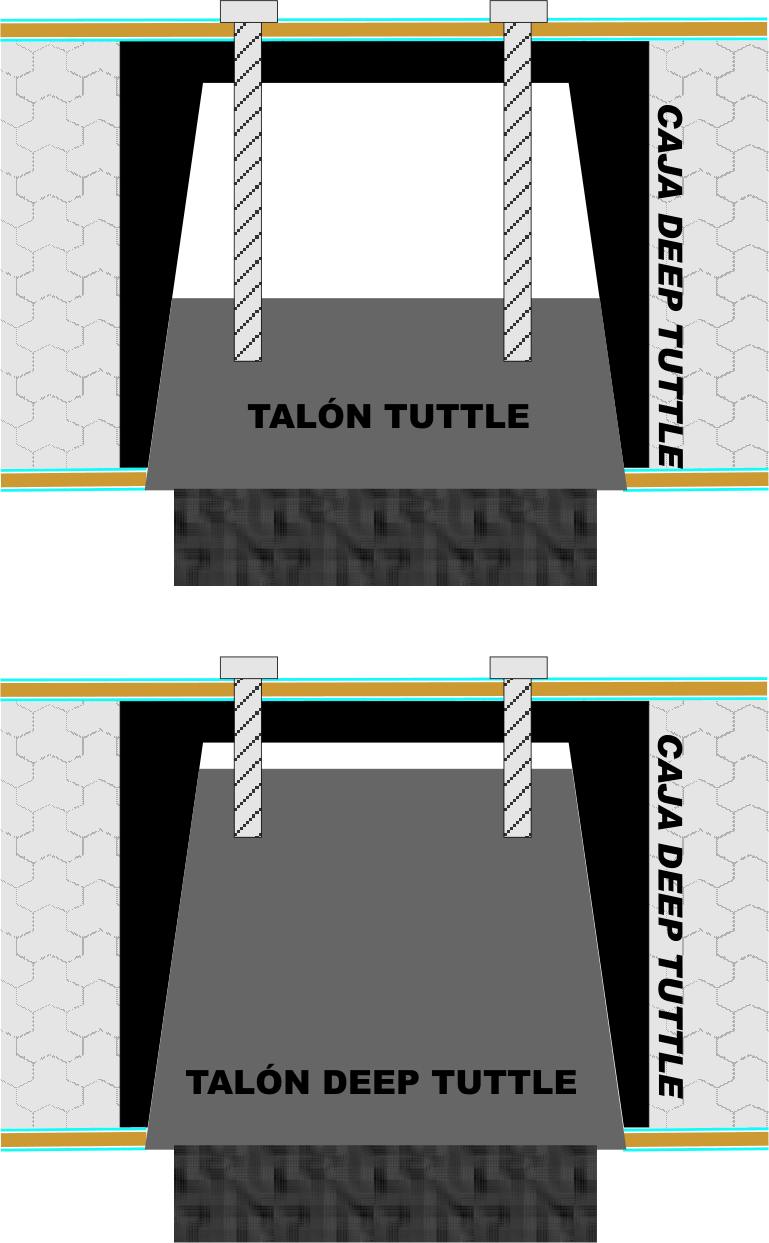 CAJAS DEEP TUTTLE.jpg