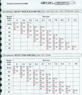 tabelfinselector2009.jpg