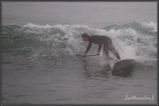 sealion-xl-brouillard-théo.jpg